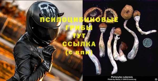 стафф Тында