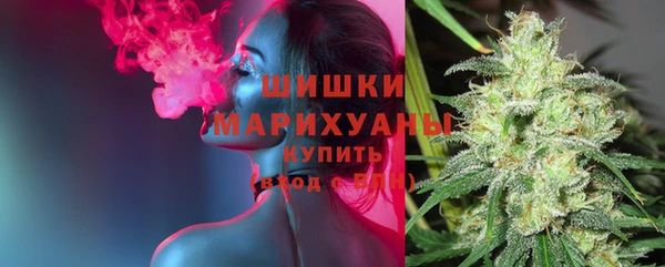 скорость Туринск